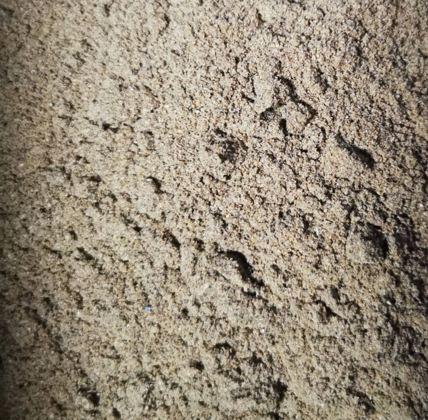 1kg Mehlwürmer Pulver Angeln Insekten Protein Zusatz Hund Koi Teich Zierfisch